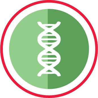 Esame Bioimpedenziometrico